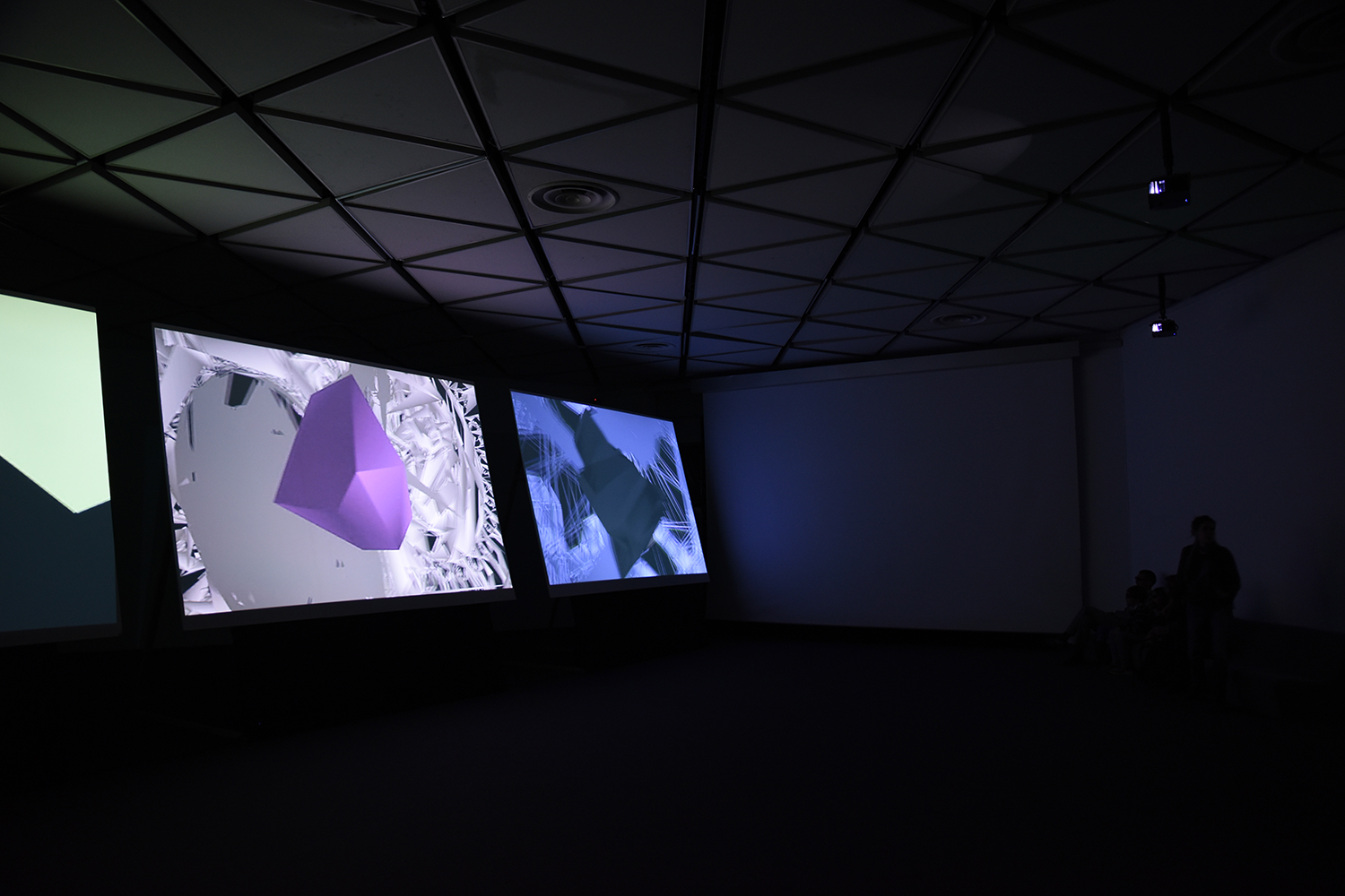 The Superusers – Kompressions of False Mechaniks in a chamber of 3D Hard Light – 2015
